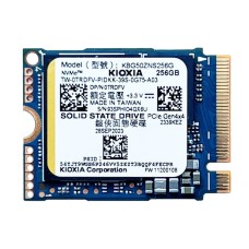 Накопичувач SSD KIOXIA 256Gb NVMe M.2 Gen4x4 (KBG50ZNS256G)